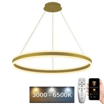 Светодиодная подвесная люстра с регулированием яркости LED/110W/230V 3000-6500K + дистанционное управление