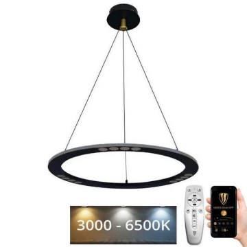 Светодиодная подвесная люстра с регулированием яркости LED/40W/230V 3000-6500K + дистанционное управление