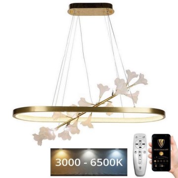 Светодиодная подвесная люстра с регулированием яркости LED/55W/230V 3000-6500K + дистанционное управление