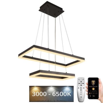 Светодиодная подвесная люстра с регулированием яркости LED/65W/230V 3000-6500K + дистанционное управление