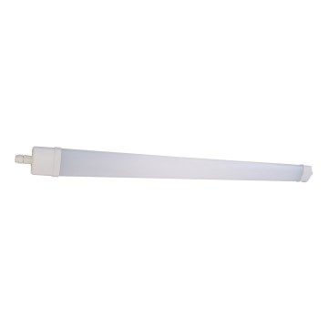 Светодиодный люминесцентный светильник DAISY LED/30W/230V 4000K IP65