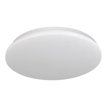 Светодиодный потолочный светильник для ванной комнаты ADAR LED/17W/230V IP44 4000K