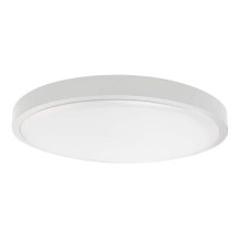 Светодиодный потолочный светильник для ванной комнаты LED/18W/230V 6500K IP44 белый