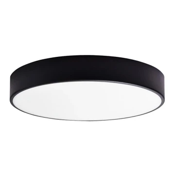 Светодиодный потолочный светильник для ванной комнаты RENE LED/15W/230V IP44 черный