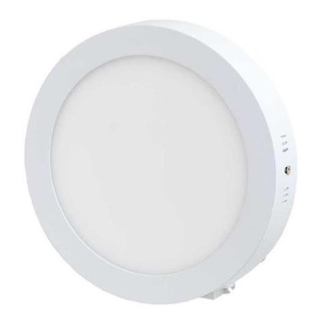 Светодиодный потолочный светильник LED/12W/230V