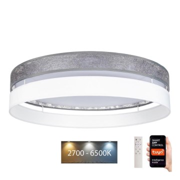 Светодиодный потолочный светильник с регулированием яркости LIMA LED/36W/230V 2700-6500K Wi-Fi Tuya + дистанционное управление серебряный/белый