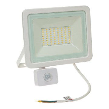 Светодиодный уличный прожектор с датчиком NOCTIS LUX 2 LED/50W/230V 3000K IP44 белый