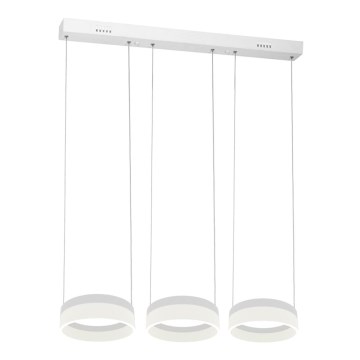 Світлодіодна підвісна люстра RING 3xLED/12W/230V