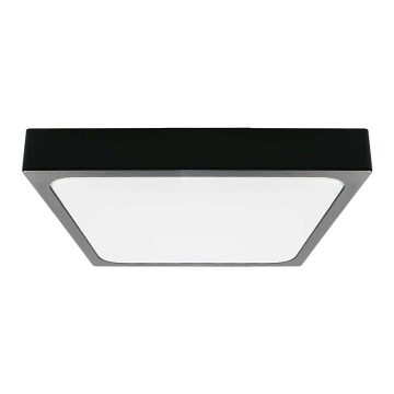 Світлодіодний стельовий світильник для ванної кімнати LED/24W/230V 6500K IP44 чорний