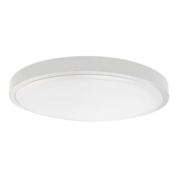 Світлодіодний стельовий світильник для ванної кімнати SAMSUNG CHIP LED/18W/230V IP44 4000K діаметр 25 см білий