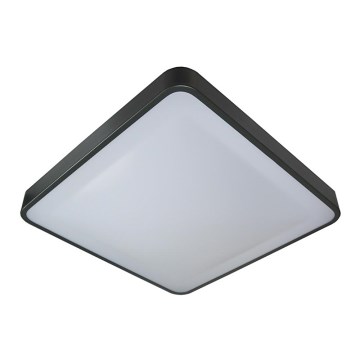 Світлодіодний стельовий світильник WILTON LED/24W/230V антрацит