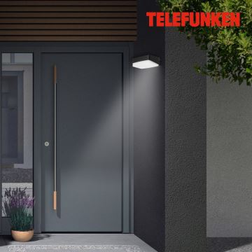 Telefunken 312205TF - Вуличний світлодіодний настінний світильник LED/14W/230V IP44