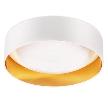 Top Light - Светодиодный потолочный светильник с регулированием яркости IVONA 40B ДУ LED/24W/230V + дистанционное управление белый