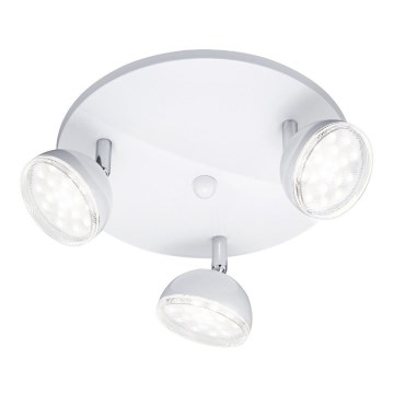 Trio - LED Точковий світильник BOLOU 3xLED/3,8W/230V