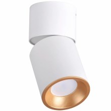 Точечный светильник NIXA 1xGU10/10W/230V белый/золотой