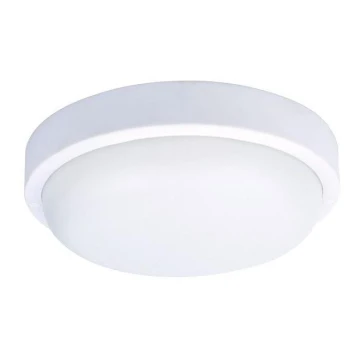 Вуличний світлодіодний стельовий світильник LED/20W/230V IP54