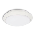 Вуличний світлодіодний стельовий світильник TIPO LED/24W/230V IP66