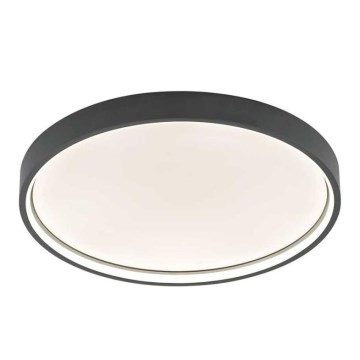 Wofi 12056 - Стельовий LED світильник DUBAI LED/27,5W/230V антрацит