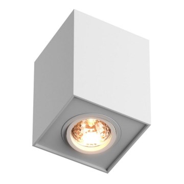 Zuma Line  - Точковий світильник 1xGU10/50W/230V білий