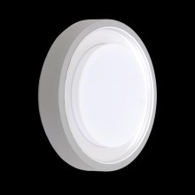 Зовнішній стельовий світильник ORIGO 1xE27/60W срібний IP54